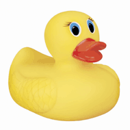 Yellow Ducky- White Hot Safety
