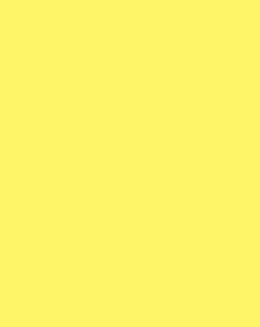 Neon Poster Board- Yellow