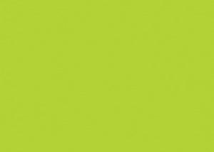 Neon Poster Board- Lime Green