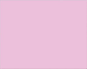 Poster Board- Pink