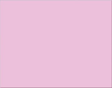 Poster Board- Pink