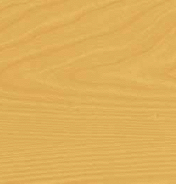 Maple 3 Yd. Contact